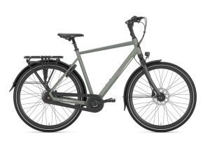GAZELLE Chamonix C8 HEREN Clay Green Mat 57cm 2024