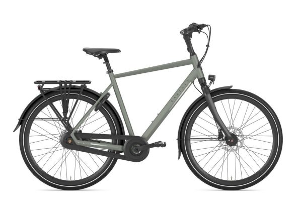 GAZELLE Chamonix C8 HEREN Clay Green Mat 57cm 2024