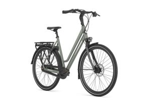 GAZELLE Chamonix C8 Dames Clay Green Mat 49cm 2025
