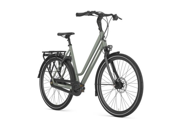 GAZELLE Chamonix C8 Dames Clay Green Mat 49cm 2025