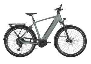 GAZELLE Ultimate T11 Heren Twilight Green Mat 61cm 2026