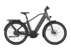 GAZELLE Eclipse C380 Heren Anthracite Grey Mat 60cm 2026