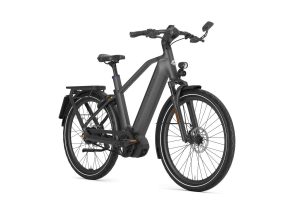 GAZELLE Eclipse Speed Heren Anthracite Grey Mat 55cm 2026