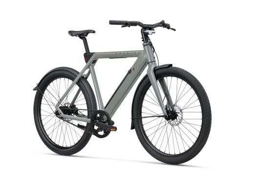 RALEIGH ONE HEREN SAGE GREY 58cm 2026 - Afbeelding 2