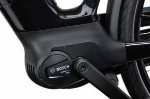 Batavus Finez E-go Power Bes3 Lage instap Zwart-glans 53cm 2024
