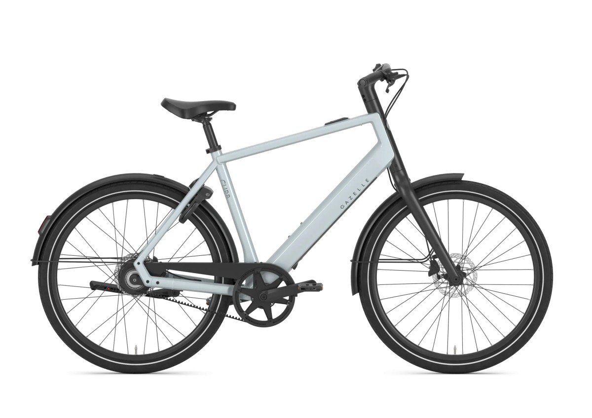 GAZELLE Curb C1 Heren Platinum White Glans 55cm 2027
